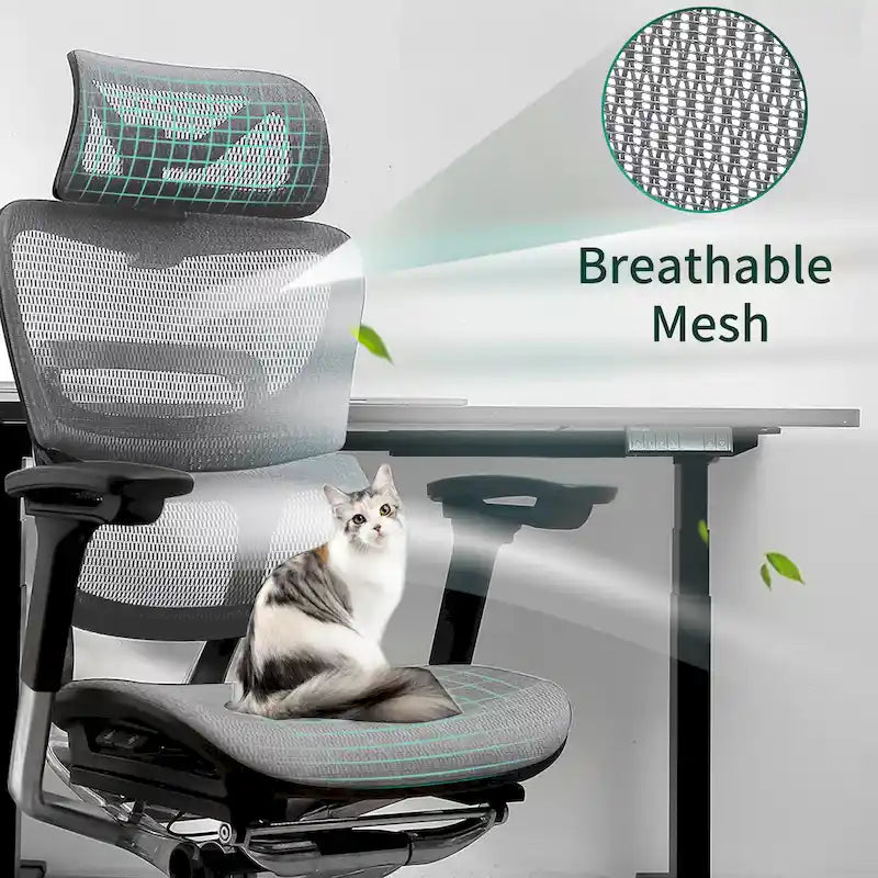 Chaise de bureau à dossier haut Fauteuil de bureau à domicile Chaise d'ordinateur sans repose-pieds