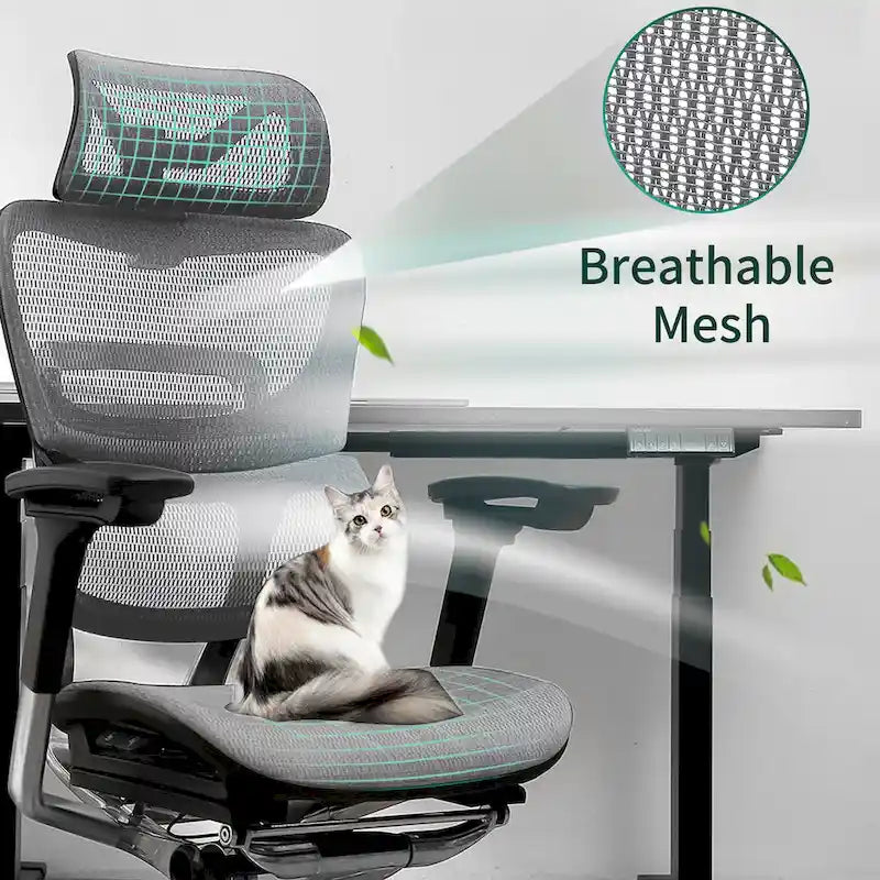 Chaise de bureau à dossier haut Fauteuil de bureau à domicile Chaise d'ordinateur sans repose-pieds