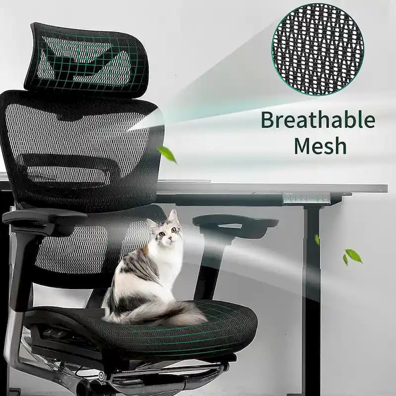 Chaise de bureau à dossier haut Fauteuil de bureau à domicile Chaise d'ordinateur sans repose-pieds